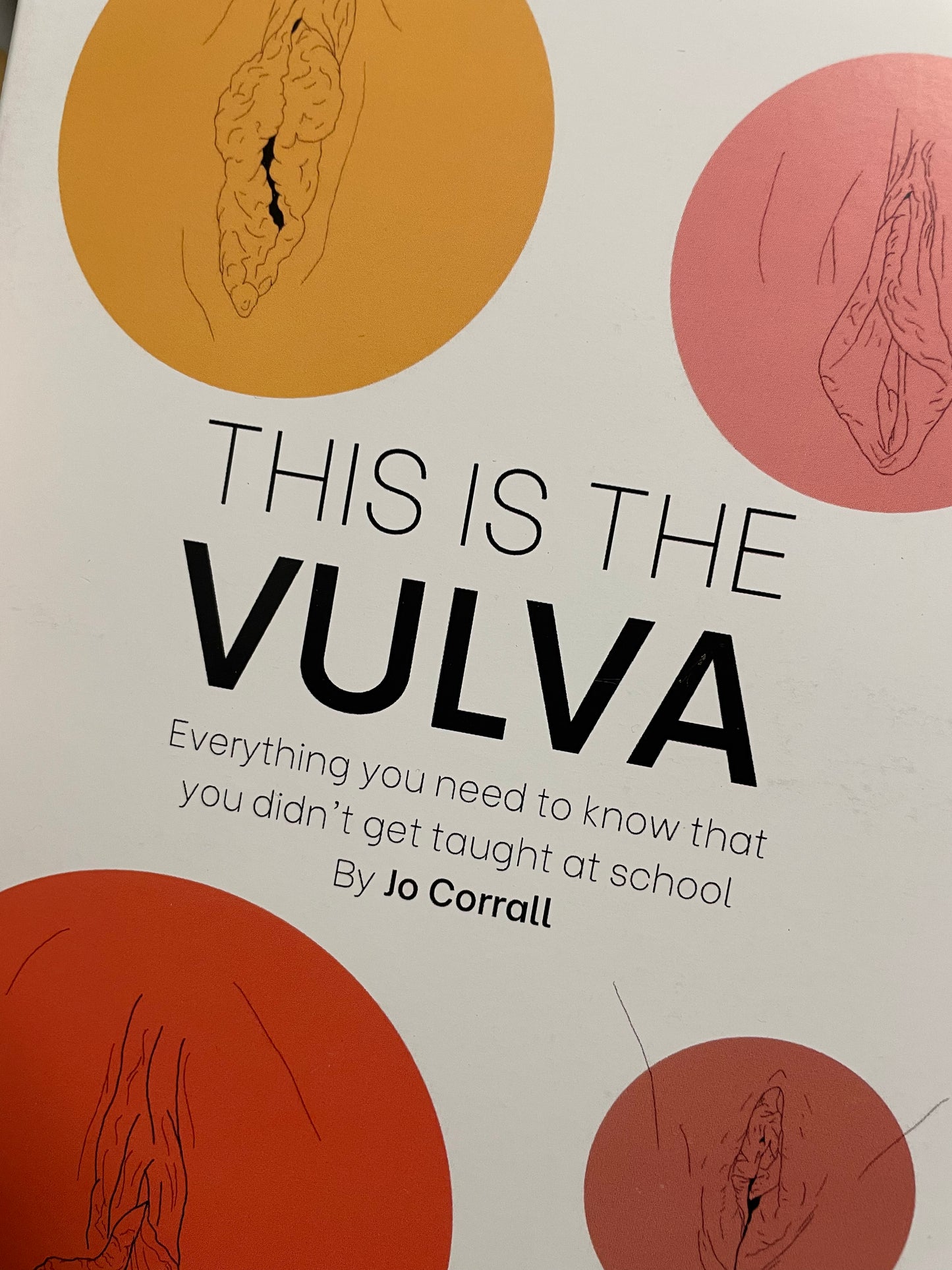 This is the Vulva