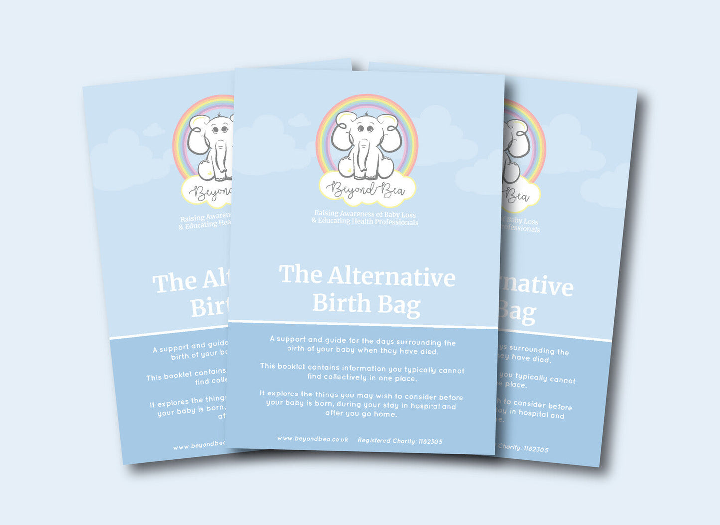 The Missing Chapter Booklet - Existing Hospital Refill (x100)