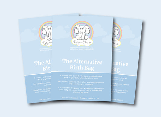 The Missing Chapter Resource Sample (x1)