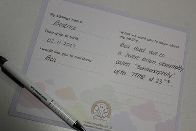 HOSPITAL / CHARITY ORDER Rainbow Baby Stickers / Information Card X 27